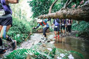 BIB: 
                            <button type="button" onclick="openModal(25478463)" class="btn btn-primary btn-sm float-right btn-popup" data-toggle="modal" data-target=".modal-high-quality">
                        <i class="fas fa-shopping-cart"></i> Add to Cart
                    </button>
                                            <button type="button" onclick="isThisMe(25478463, true)" class="btn btn-success btn-sm float-right btn-popup btn-isme hidden" data-toggle="tooltip" data-placement="bottom" title="นี่คือรูปของคุณใช่ไหม คลิกที่นี่เพื่อเอาเข้าอัลบั้ม">
                        <i class="fas fa-plus"></i> Add to album
                    </button>
                    <button type="button" onclick="isThisMe(25478463, false)" class="btn btn-warning btn-sm float-right btn-popup btn-isnotme hidden">
                        <i class="fas fa-ban"></i> Remove from album
                    </button>